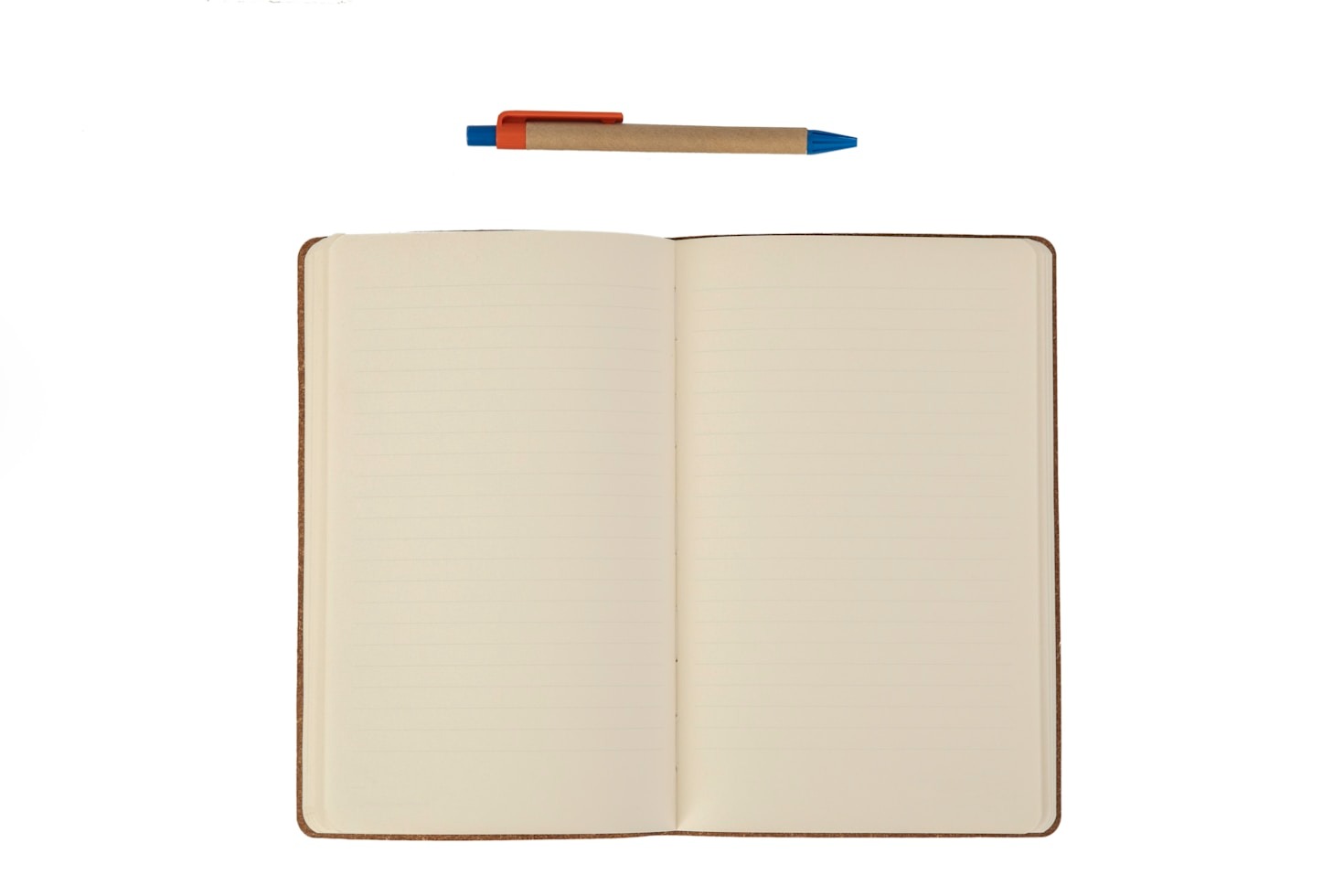 A Day in the Life of a Curious Mind